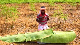 KING SIZE Kola Fish Make Magic and Cooking Eating Delicacies VILLAGE HUNTER