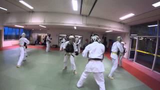 Stage franco-japonais de Nippon Kempo 日本拳法