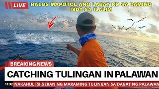 PANGHUHULI NG ISDANG TULINGANG LAPAD SA CORON PALAWAN GAMIT ANG LABAY -  FISHING VIDEO