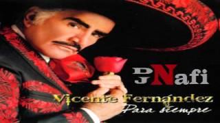 Para Siempre Fuego en la Sangre   Vicente Fernandez Remix by Dj Nafi