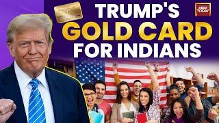 How US Hiring Indian Graduates Under 'Gold Card'? | Donald Trump | US Visa | India | USA