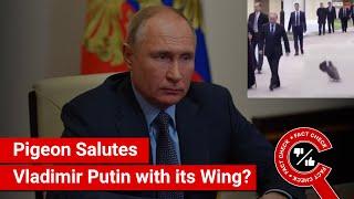 FACT CHECK: Pigeon Salutes Russian President Vladimir Putin with its Wing?