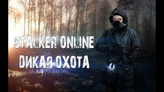 Сталкер онлайн. Дикая охота. Stalker online