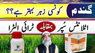 Atlantis Super Vs Tri Ultra herbicides for wheat crop || Crop Reformer