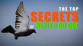 Top Secrets of Benito Go Que | Pigeon Racing in the Philippines