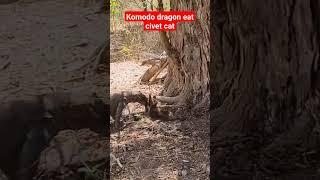  komodo dragon eat civet cat #wildlife #komodo #animal