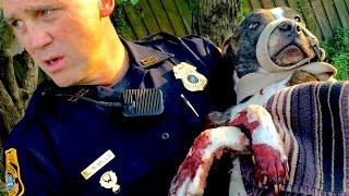 Amazing Cops Rescues | Real life heroes | PART 2