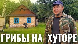 ПОЗДНО ВЕЧЕРОМ ЗА ГРИБАМИ. С ХРЮНДЕЛЕМ НАДО ЧТО-ТО РЕШАТЬ