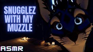 (Furry ASMR) Snuggling YOU With My Muzzle 