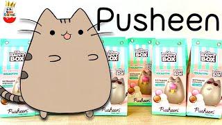 PUSHEEN the CAT unboxing! HAPPY BOX Surprises, Big Toys, Cartoon, Surprise unboxing