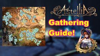 Guide to Gathering - Astellia Online!