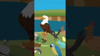 One Minute Story | Baaz |  #kidsstories | Story