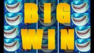 BIG WILD SHARK CASINO SLOTS فورزا فورزا SLOTS MACHINE bonus ×2 