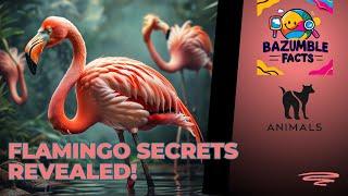 5 AMAZING Facts About Flamingos You Never Knew Before!