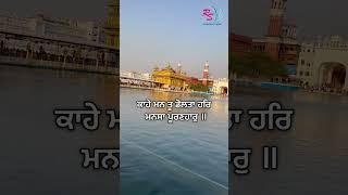 Kaahey Mann Tu Dolta #shorts #gurbani  #goldentemple