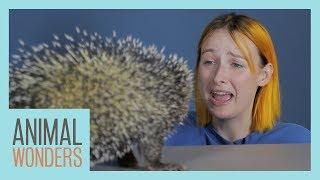 Tessa Violet Smells Our Animals