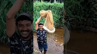 പിള്ളേര് കാരണം കിട്ടിയ വാള.. FULL VIDEO IN FIRST COMMENT | traditional fishing | village fishing |