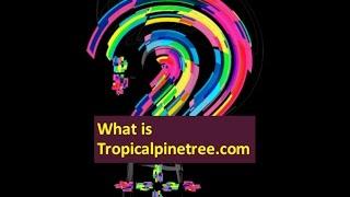 What is Tropical Pine Tree.com about?