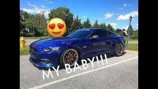 Meet SONIC My 2016 Ford Mustang GT!