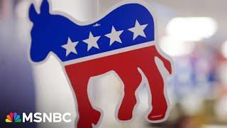 'Forgot how to talk to normal people': Dem strategist on why party lost working class voters