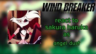 |• Wind breaker |• react to |• Sakura Haruka as |• Angel Dust 🫶 part 1/2