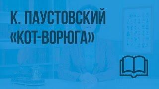 К. Паустовский «Кот-ворюга». Видеоурок по чтению 3 класс