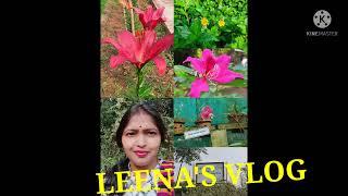 Flower love# orchid# lily# Bouganbhillae#