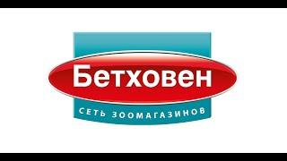 Купоны Бетховен на скидку промокоды и акции  Бетховен промокод на первый заказ в зоомагазине!