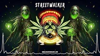 Sons of Paradise - Streetwalker  (New Reggae 2022 / Roots Reggae / Lyric Video)