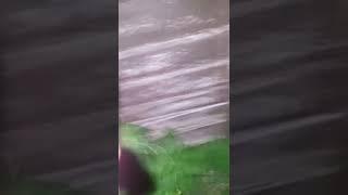 fast as poop boi