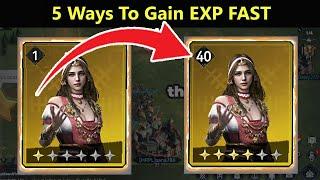 5 Ways to Gain EXP Fast In Viking Rise || Viking Rise Tips