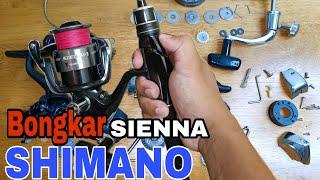 Bongkar Reel Shimano Sienna 4000