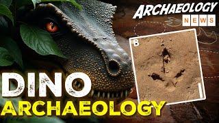 Ancient Petroglyphs And Dinosaur Footprints: Brazil's Prehistoric Discoveries | Into The Dust