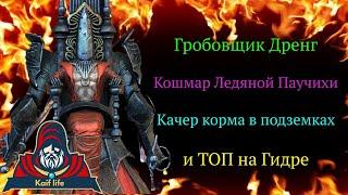 Гробовщик Дренг - ЛУЧШИЙ ОБЗОР на ТОП убийцу боссов и качера корма в подземках! Таланты и обвес RAID