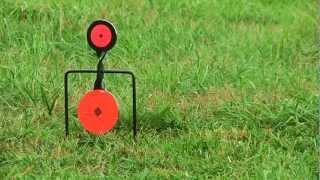 Birchwood Casey Handgun Metal Targets