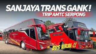 KETEMU BUS VIRAL‼️SANJAYA TRANS ALBINO X MARVEL X LEMON TEA TRIP AMTC SERPONG‼️INI BARU FULL BASURI