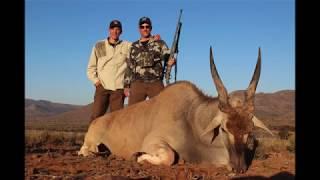 Reade Taylor's GIANT African Eland 2017