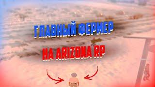 РАБОТА ЗА ЧАС: ГЛАВНЫЙ ФЕРМЕР 2021 ARIZONA RP