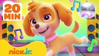 PAW Patrol Skye's Music Party! #2  20 Minutes | Nick Jr. Music