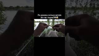 Ото дав ТУ-ТУ Спойлер: я за цією рибою щей на катамарані. #рыбалка #короп #рибалка #риболовля