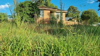 The Neighbours THREATEN Elderly GRANDMA And Said Get Your MESSY OVERGROWN Lawn Mowed OR ELSE!