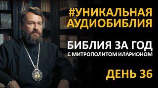 День 36. Библия за год. С митрополитом Иларионом. Библейский ультрамарафон портала «Иисус»