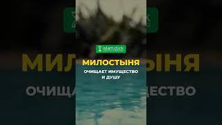 Милостыня очищает имущество и душу | Абу Яхья Крымский | Коротко о важном