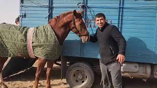 Асп бозори Ленинский район.