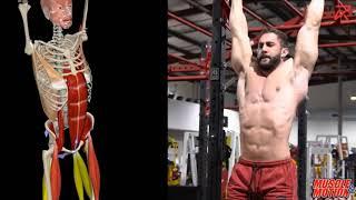 Hanging Leg Raises (Hip Flexion)