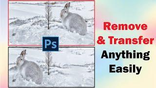 Content Aware Fill & Move Tool । Move or Expand Objects in Photoshop