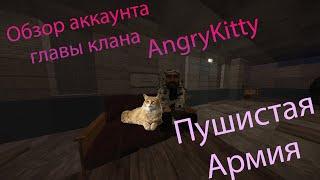 #СТАЛКРАФТ STALCRAFT Обзор аккаунта AngryKitty