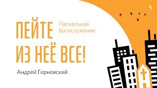 "Пейте из нее все" - Андрей Горновский, "Слово жизни", г. Санкт-Петербург