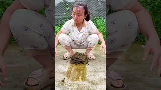 Are funny videos the secret to a HAPPIER life? #cute #funny