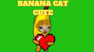 happy cat banana 2025  #6